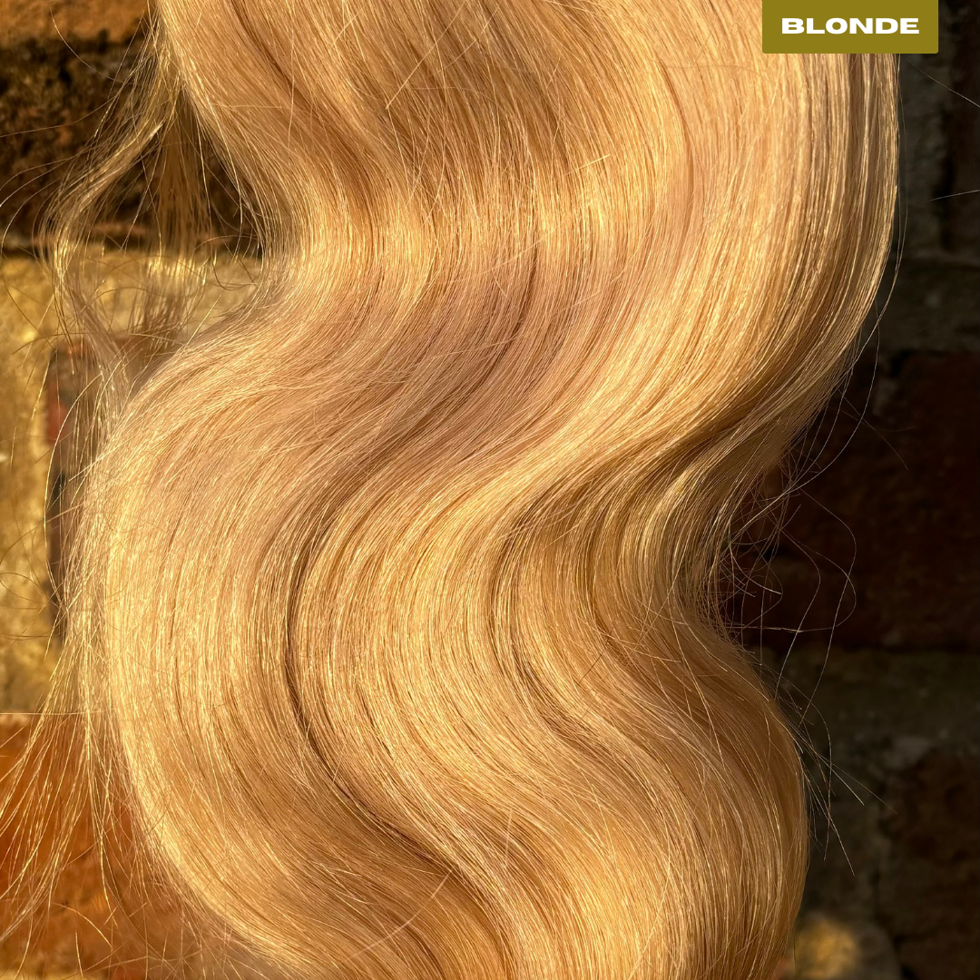 The Blonde Collection